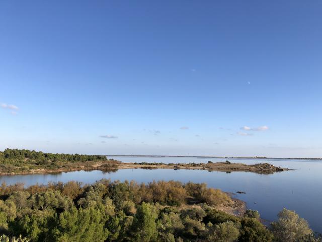 La Caramoun - Etang de Leucate