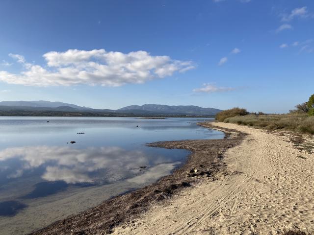 Etang de Leucate