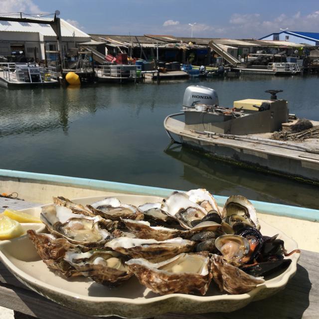 Leucate oester proeverij