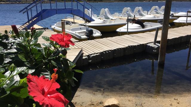 Ile Aux Loisirs Pedalo Etang