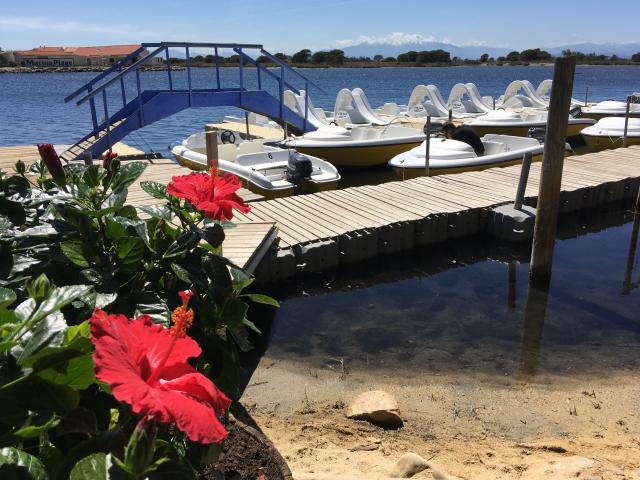 Ile Aux Loisirs Pedalo Etang