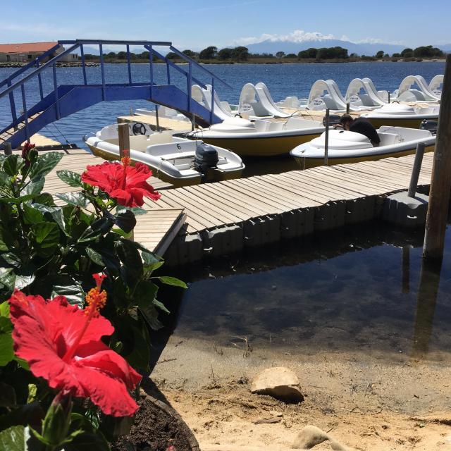 Ile aux Loisirs Pedalo Etang