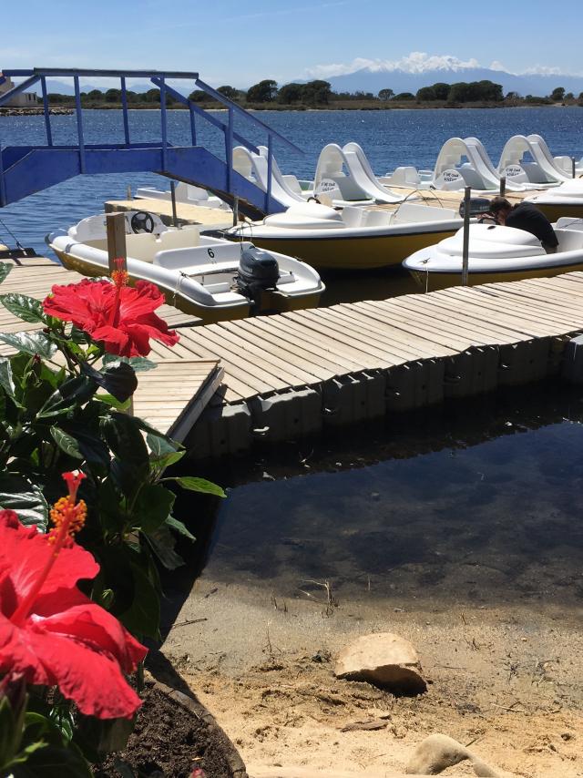 Ile aux Loisirs Pedalo Etang