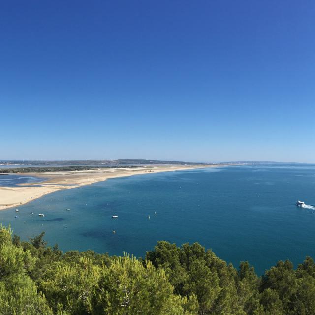 Les Coussoules La Franqui depuis La Falaise