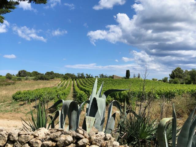 Leucate Nature Plateau