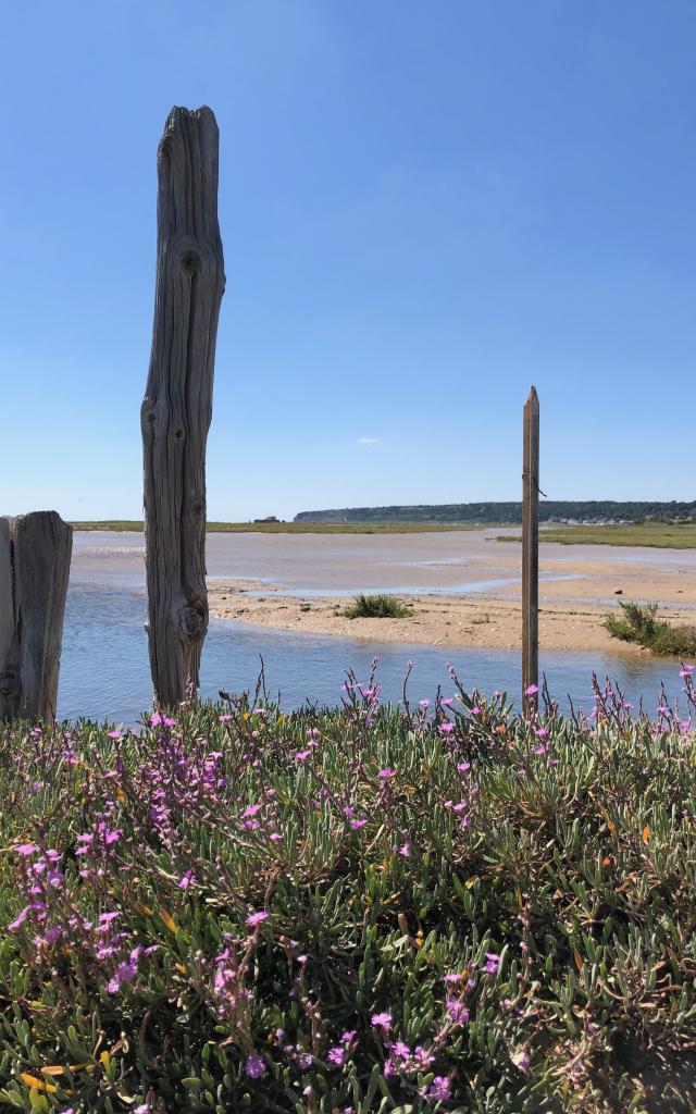 Plage Nature Coussoules Leucate