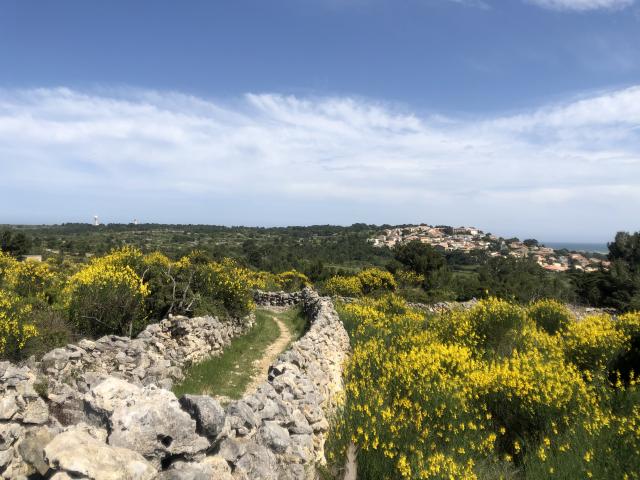 Plateau Leucate Nature