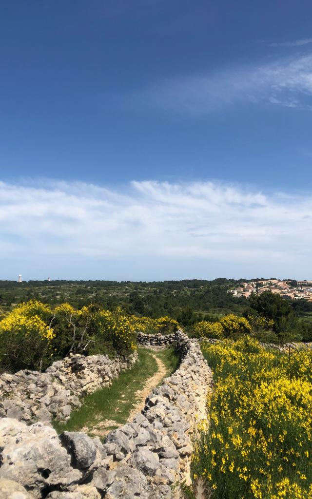 Sentier de randonnée balisé - Plateau de Leucate