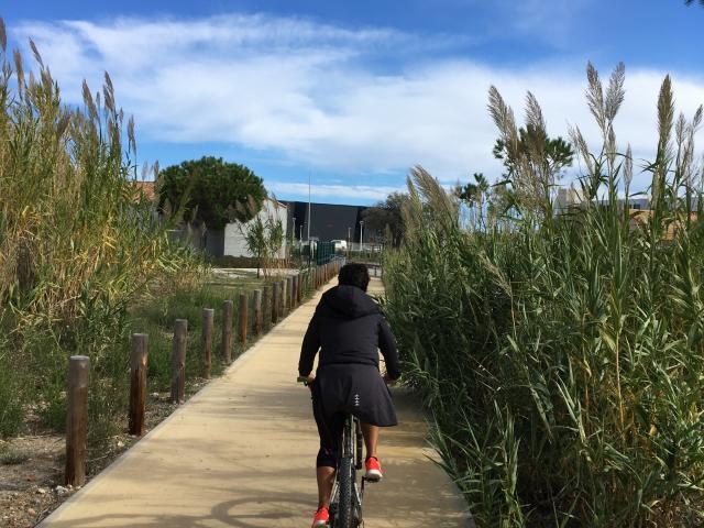 Port Leucate Piste Cyclable Velo