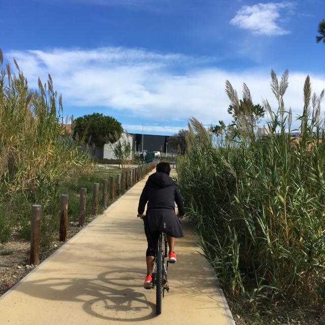 Port Leucate Piste Cyclable Velo