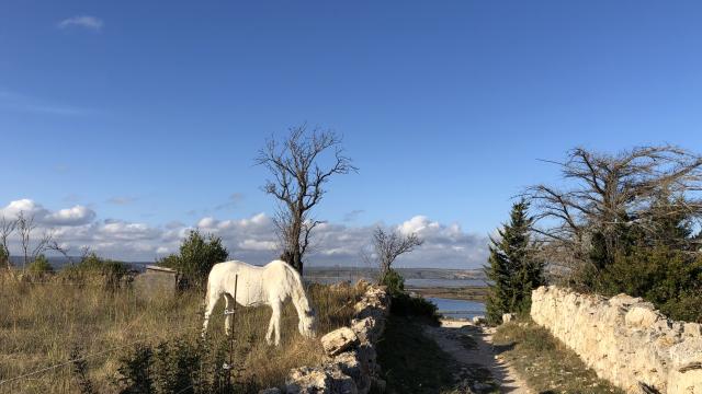 Sentier de randonnée balisé - Plateau de Leucate