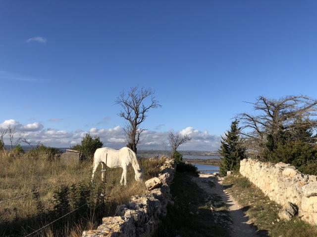 Sentier de randonnée balisé - Plateau de Leucate