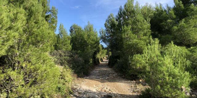 Sentier de randonnée balisé - Plateau de Leucate