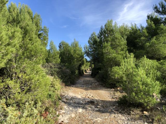 Sentier de randonnée balisé - Plateau de Leucate