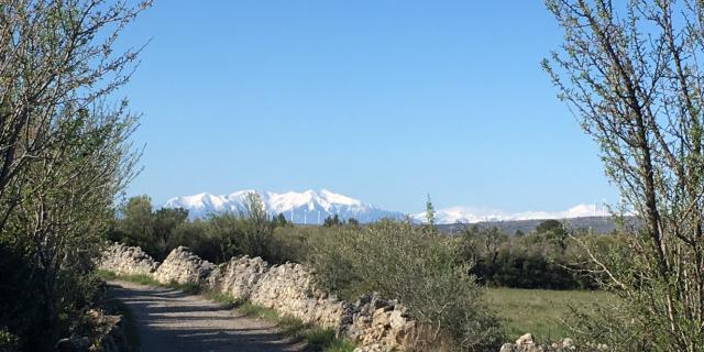 Winterwandeling - Plateau de Leucate