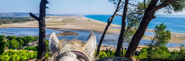 Balade à Cheval