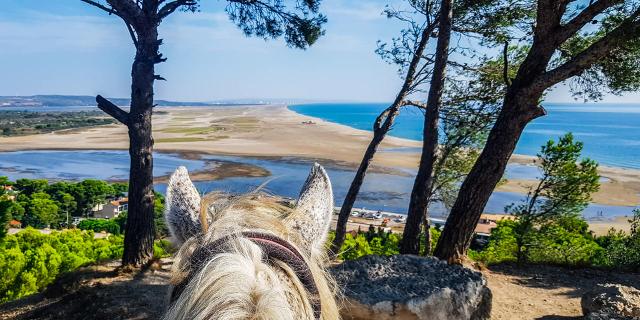 Balade à Cheval