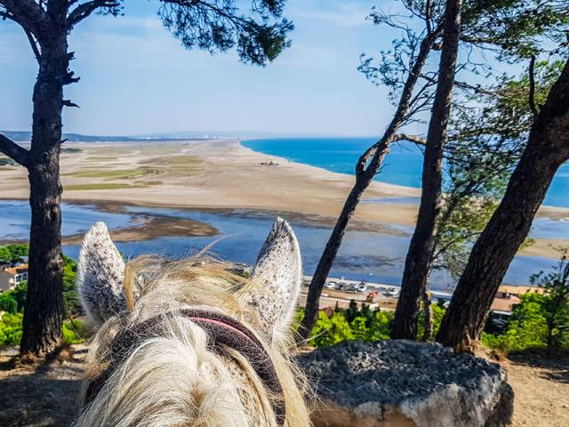 Balade à Cheval