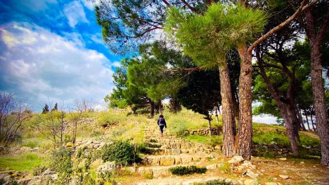 Chateau de Leucate