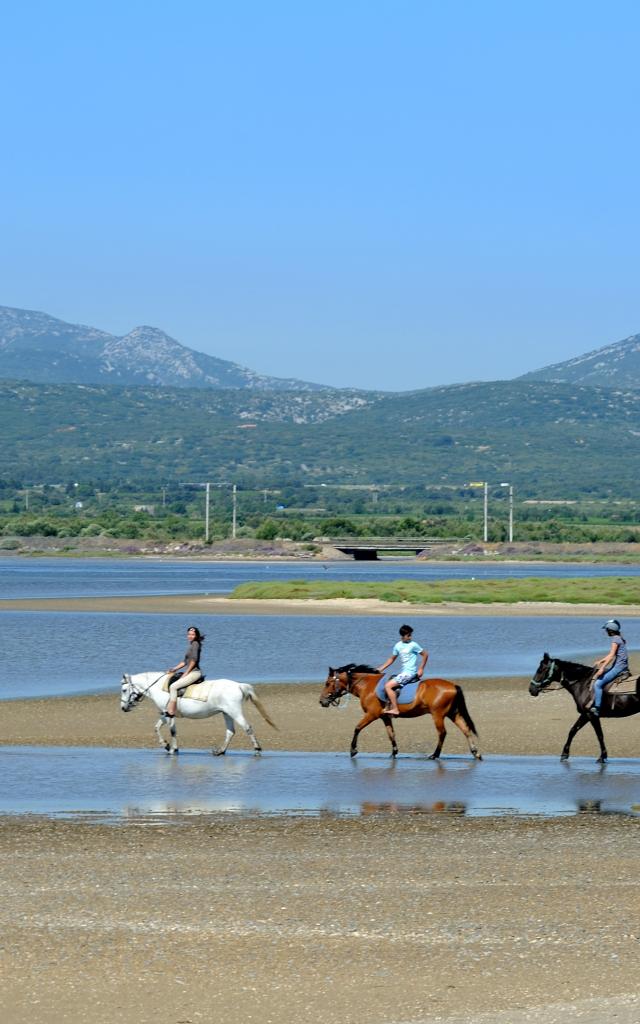 Cheval La Franqui Coussoules