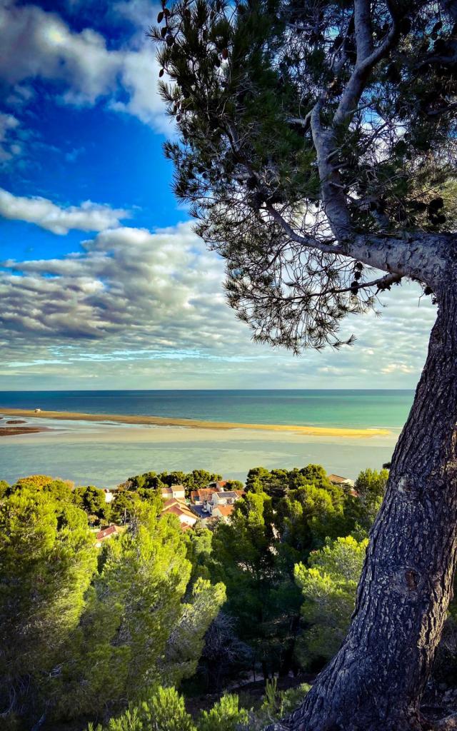 Photo de la plage des Coussoules depuis la Falaise de Leucate