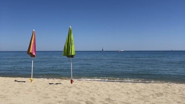 Stand Up Paddle Leucate