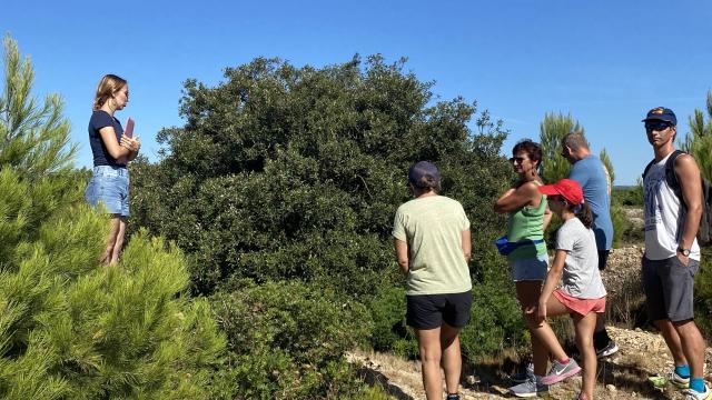 Balade Commentée De La Falaise 3