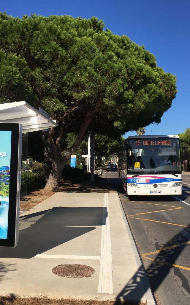 Port Leucate Bus College