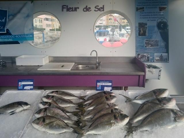 Etal de poissons sur le quai des pêcheurs