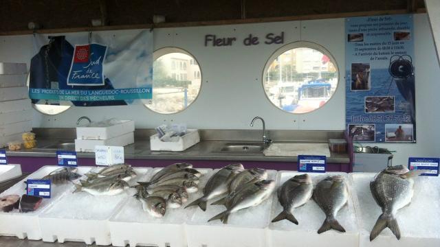 Etal de poissons sur le quai des pêcheurs