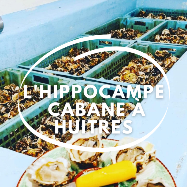 Capsule hippocampe