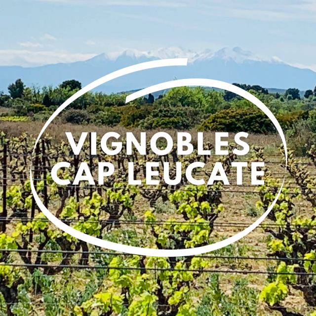 Capsule Vignobles cap leucate