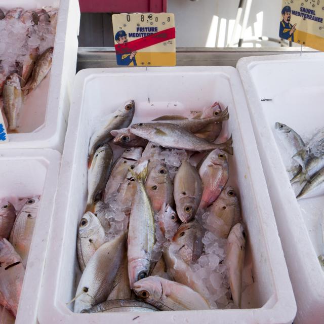 Photo de poissons sur les stands du marché aux poissons de Port Leucate