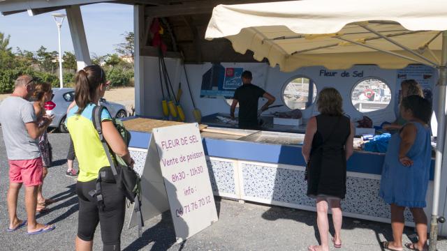 Photo de poissons sur les stands du marché aux poissons de Port Leucate