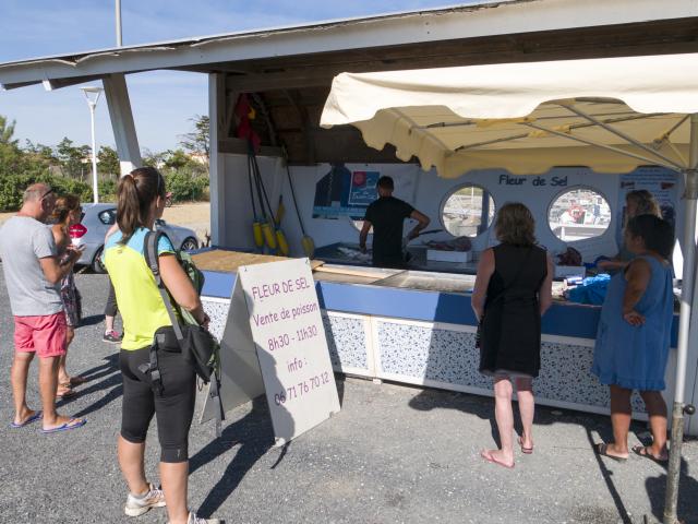 Photo de poissons sur les stands du marché aux poissons de Port Leucate