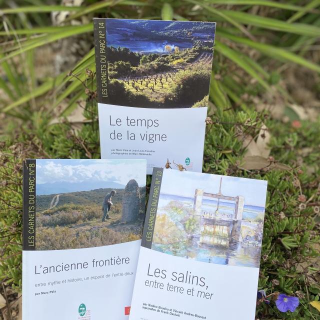 Les Carnets Du Parc 8 13 14