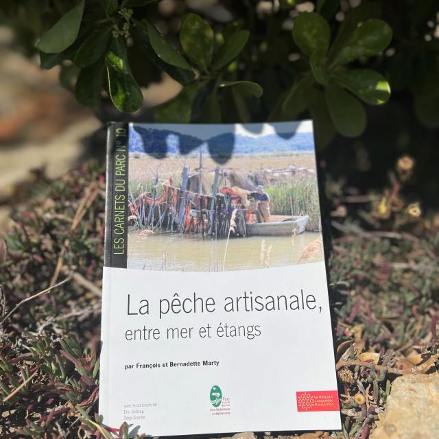 Les Carnets Du Parc N°10 La Pêche Artisanale, Entre Mer Et étangs